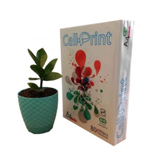 کاغذ تحریر 80 گرم سل پرینت A4 - Cellprint