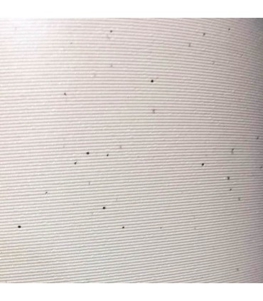 کاغذ دیواری اکوسالونت سیلور فلش عرض 107